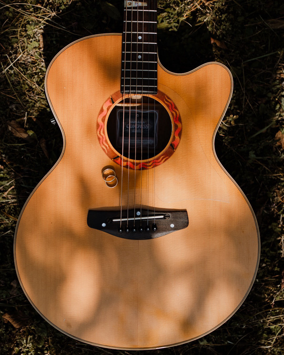 Max Trieß, Gitarrist und Sänger für Hochzeiten, Sektempfang